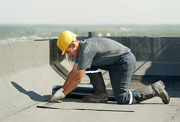 Best Professional Insulation Contractor  in Balcones Heights, TX